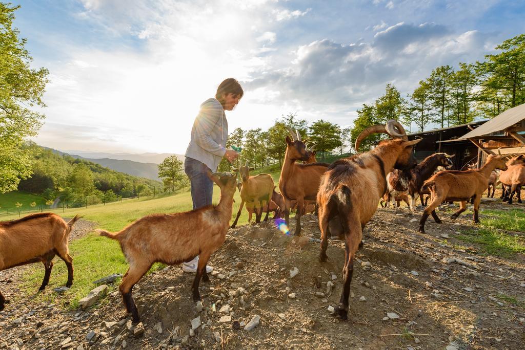 Agriturismo Casapasserini Londa Εξωτερικό φωτογραφία